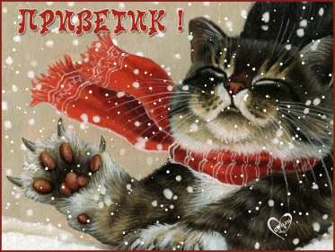 Открытки зимний привет Открытка зимний привет, приветик, зимнее приветствие, привет зимний Открытка открытки картинка картинки с зимним приветом, приветик зимний, зимняя открытка зимний привет, зима привет, картинка зимний привет, приветик скачать бесплатно