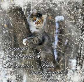 Открытки зимний привет Открытка зимний привет, приветик, зимнее приветствие, привет зимний Открытка открытки картинка картинки с зимним приветом, приветик зимний, зимняя открытка зимний привет, зима привет, картинка зимний привет, приветик скачать бесплатно