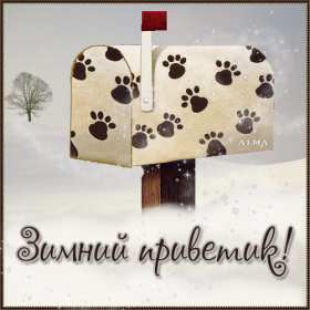 Открытки зимний привет Открытка зимний привет, приветик, зимнее приветствие, привет зимний Открытка открытки картинка картинки с зимним приветом, приветик зимний, зимняя открытка зимний привет, зима привет, картинка зимний привет, приветик скачать бесплатно