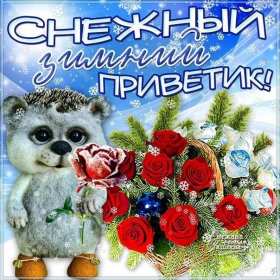 Открытки зимний привет Открытка зимний привет, приветик, зимнее приветствие, привет зимний Открытка открытки картинка картинки с зимним приветом, приветик зимний, зимняя открытка зимний привет, зима привет, картинка зимний привет, приветик скачать бесплатно