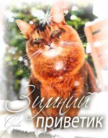 Открытки зимний привет Открытка зимний привет, приветик, картинка зимний привет, приветствие Открытка картинка открытки картинки зимний привет, зимнее приветствие, зима, привет, открытка картинка привет зимний, приветик зимний, зимние открытки зимний привет .