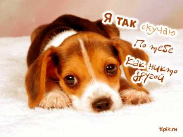 Открытки скучаю Открытка картинка скучаю, скучаю по тебе, с надписью скучаю . Открытка открытки картинка картинки скучаю, с надписью скучаю, красивая открытка картинка скучаю, скучаю по тебе, очень скучаю без тебя, открытки картинки скучаю скачать бесплатно