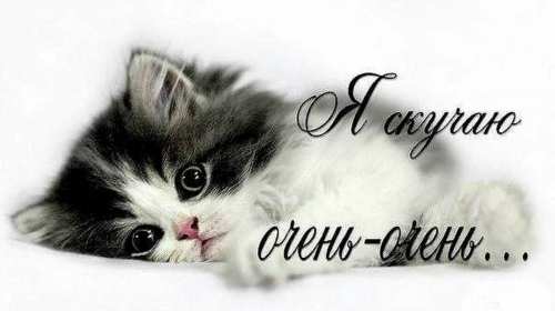 Открытки скучаю Открытка картинка скучаю, скучаю по тебе, с надписью скучаю . Открытка открытки картинка картинки скучаю, с надписью скучаю, красивая открытка картинка скучаю, скучаю по тебе, очень скучаю без тебя, открытки картинки скучаю скачать бесплатно