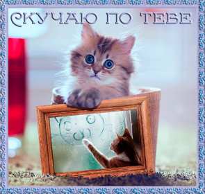 Открытки скучаю Открытка картинка скучаю, скучаю по тебе, с надписью скучаю . Открытка открытки картинка картинки скучаю, с надписью скучаю, красивая открытка картинка скучаю, скучаю по тебе, очень скучаю без тебя, открытки картинки скучаю скачать бесплатно