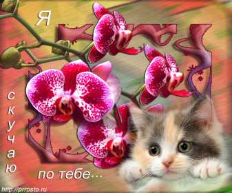 Открытки скучаю Открытка картинка скучаю, скучаю по тебе, с надписью скучаю . Открытка открытки картинка картинки скучаю, с надписью скучаю, красивая открытка картинка скучаю, скучаю по тебе, очень скучаю без тебя, открытки картинки скучаю скачать бесплатно