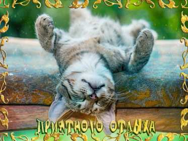 Открытки хорошего отдыха Открытка картинка хорошего отдыха, приятного отдыха, отдыха хорошего Открытка картинка хорошего отдыха, хорошо отдохнуть, приятного отдыха, открытка картинка хорошего тебе отдыха, хорошо отдохнуть, классно отдохнуть скачать бесплатно .