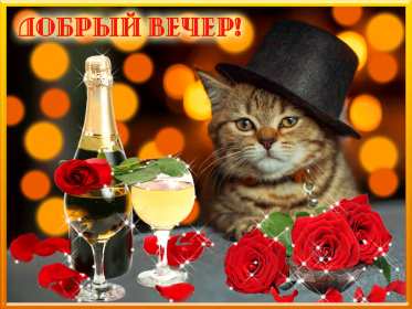 Открытки добрый вечер Открытка красивая добрый вечер, пожелания доброго вечера . Открытка открытки картинка картинки с пожеланиями доброго вечера, добрый вечер, яркая красивая вечерняя открытка картинка добрый вечер, уютный вечер скачать бесплатно