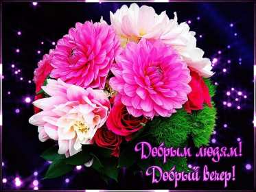 Открытки добрый вечер Открытка красивая добрый вечер, пожелания доброго вечера . Открытка открытки картинка картинки с пожеланиями доброго вечера, добрый вечер, яркая красивая вечерняя открытка картинка добрый вечер, уютный вечер скачать бесплатно