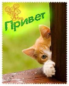 Открытки привет! Открытка красивая яркая с надписью привет, приветик, приветствие Открытка открытки картинка картинки привет, приветик, приветствие, открытка картинка с надписью привет, яркое приветствие тёплый привет, приветик скачать бесплатно .