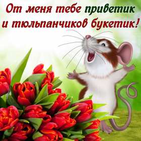 Открытки привет! Открытка красивая яркая с надписью привет, приветик, приветствие Открытка открытки картинка картинки привет, приветик, приветствие, открытка картинка с надписью привет, яркое приветствие тёплый привет, приветик скачать бесплатно .