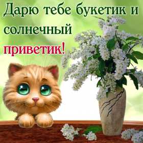 Открытки привет! Открытка красивая яркая с надписью привет, приветик, приветствие Открытка открытки картинка картинки привет, приветик, приветствие, открытка картинка с надписью привет, яркое приветствие тёплый привет, приветик скачать бесплатно .