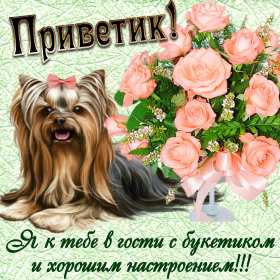 Открытки привет! Открытка красивая яркая с надписью привет, приветик, приветствие Открытка открытки картинка картинки привет, приветик, приветствие, открытка картинка с надписью привет, яркое приветствие тёплый привет, приветик скачать бесплатно .