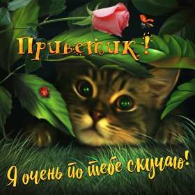 Открытки привет! Открытка красивая яркая с надписью привет, приветик, приветствие Открытка открытки картинка картинки привет, приветик, приветствие, открытка картинка с надписью привет, яркое приветствие тёплый привет, приветик скачать бесплатно .