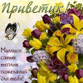 Открытки привет! Открытка красивая яркая с надписью привет, приветик, приветствие Открытка открытки картинка картинки привет, приветик, приветствие, открытка картинка с надписью привет, яркое приветствие тёплый привет, приветик скачать бесплатно .