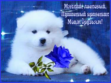 Открытки привет! Открытка красивая яркая с надписью привет, приветик, приветствие Открытка открытки картинка картинки привет, приветик, приветствие, открытка картинка с надписью привет, яркое приветствие тёплый привет, приветик скачать бесплатно .