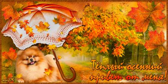 Открытка! Открытка осенний привет, осенний приветик, осеннее приветствие