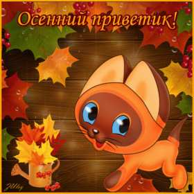 Открытки осенний привет Открытка осенний привет, осенний приветик, осеннее приветствие Открытка картинка открытки картинки осенний привет, привет осенний, приветствие осеннее, яркие осенние открытки осенний привет, осень, осенний приветик скачать бесплатно
