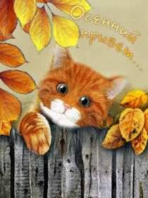 Открытки осенний привет Открытка осенний привет, осенний приветик, осеннее приветствие Открытка картинка открытки картинки осенний привет, привет осенний, приветствие осеннее, яркие осенние открытки осенний привет, осень, осенний приветик скачать бесплатно