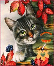 Открытки осенний привет Открытка осенний привет, яркий осенний привет, приветик, приветствие осеннее Открытка открытки картинка картинки приветствие осеннее, осень привет, приветик осенний, яркая осень осенний привет, открытка картинка с осенним приветом скачать бесплатно