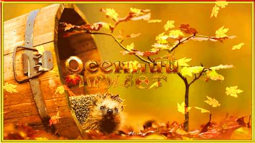 Открытки осенний привет Открытка осенний привет, яркий осенний привет, приветик, приветствие осеннее Открытка открытки картинка картинки приветствие осеннее, осень привет, приветик осенний, яркая осень осенний привет, открытка картинка с осенним приветом скачать бесплатно