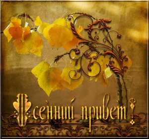 Открытки осенний привет Открытка осенний привет, яркий осенний привет, приветик, приветствие осеннее Открытка открытки картинка картинки приветствие осеннее, осень привет, приветик осенний, яркая осень осенний привет, открытка картинка с осенним приветом скачать бесплатно