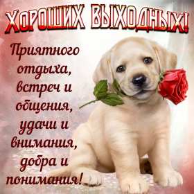 Открытки выходные Открытка пожелания хороших выходных, с выходным днём, с выходными Открытки картинки с выходным, с выходными, открытка картинка выходной, выходные, пожелания хороших выходных, открытка выходные, с выходными скачать бесплатно