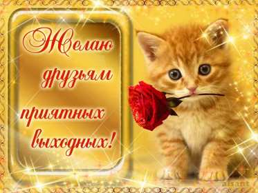 Открытки выходные Открытка пожелания хороших выходных, с выходным днём, с выходными Открытки картинки с выходным, с выходными, открытка картинка выходной, выходные, пожелания хороших выходных, открытка выходные, с выходными скачать бесплатно