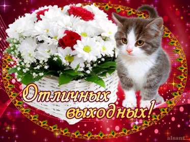 Открытки выходные Открытка пожелания хороших выходных, с выходным днём, с выходными Открытки картинки с выходным, с выходными, открытка картинка выходной, выходные, пожелания хороших выходных, открытка выходные, с выходными скачать бесплатно