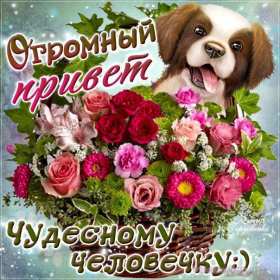 Открытки привет! Открытка приветствие, привет, приветик, красивое приветствие. Открытка картинка открытки картинки привет, приветик, тебе приветик, открытка картинка приветствие, яркое приветствие, картинка открытка с надписью привет скачать бесплатно