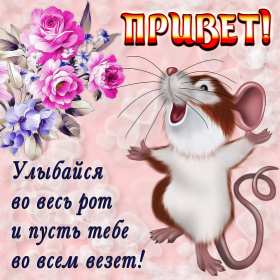 Открытки привет! Открытка приветствие, привет, приветик, красивое приветствие. Открытка картинка открытки картинки привет, приветик, тебе приветик, открытка картинка приветствие, яркое приветствие, картинка открытка с надписью привет скачать бесплатно