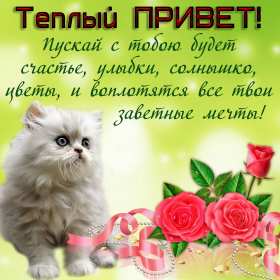 Открытки привет! Открытка приветствие, привет, приветик, красивое приветствие. Открытка картинка открытки картинки привет, приветик, тебе приветик, открытка картинка приветствие, яркое приветствие, картинка открытка с надписью привет скачать бесплатно