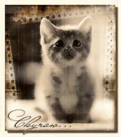 Открытки скучаю Открытка с надписью скучаю, картинка скучаю, скучаю по тебе Открытка картинка открытки картинки скучаю, с надписью скучаю, скучаю по тебе, скучаю очень, открытка картинка скучаю, надпись скучаю на открытке картинке, скачать бесплатно