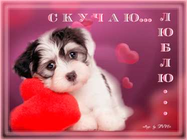 Открытки скучаю Открытка с надписью скучаю, картинка скучаю, скучаю по тебе Открытка картинка открытки картинки скучаю, с надписью скучаю, скучаю по тебе, скучаю очень, открытка картинка скучаю, надпись скучаю на открытке картинке, скачать бесплатно