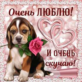 Открытки скучаю Открытка с надписью скучаю, картинка скучаю, скучаю по тебе Открытка картинка открытки картинки скучаю, с надписью скучаю, скучаю по тебе, скучаю очень, открытка картинка скучаю, надпись скучаю на открытке картинке, скачать бесплатно