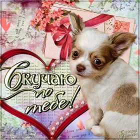 Открытки скучаю Открытка с надписью скучаю, картинка скучаю, скучаю по тебе Открытка картинка открытки картинки скучаю, с надписью скучаю, скучаю по тебе, скучаю очень, открытка картинка скучаю, надпись скучаю на открытке картинке, скачать бесплатно