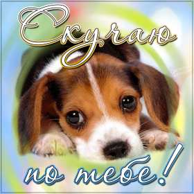 Открытки скучаю Открытка с надписью скучаю, картинка скучаю, скучаю по тебе Открытка картинка открытки картинки скучаю, с надписью скучаю, скучаю по тебе, скучаю очень, открытка картинка скучаю, надпись скучаю на открытке картинке, скачать бесплатно