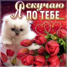Открытки скучаю Открытка с надписью скучаю, картинка скучаю, скучаю по тебе Открытка картинка открытки картинки скучаю, с надписью скучаю, скучаю по тебе, скучаю очень, открытка картинка скучаю, надпись скучаю на открытке картинке, скачать бесплатно