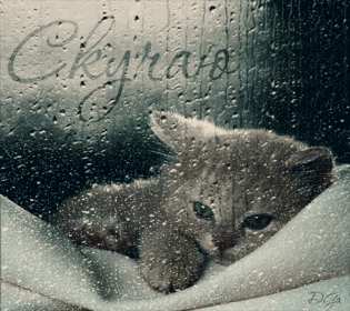 Открытки скучаю Открытка с надписью скучаю, картинка скучаю, скучаю по тебе Открытка картинка открытки картинки скучаю, с надписью скучаю, скучаю по тебе, скучаю очень, открытка картинка скучаю, надпись скучаю на открытке картинке, скачать бесплатно