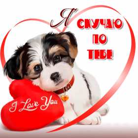 Открытки скучаю Открытка с надписью скучаю, картинка скучаю, скучаю по тебе Открытка картинка открытки картинки скучаю, с надписью скучаю, скучаю по тебе, скучаю очень, открытка картинка скучаю, надпись скучаю на открытке картинке, скачать бесплатно