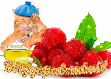 Открытки выздоравливай Открытка с пожеланиями скорейшего выздоровления, выздоравливай Открытка картинка открытки картинки выздоравливай, поправляйся, скорейшего выздоровления, открытка картинка пожелания скорейшего выздоровления, выздоравливай, не болей