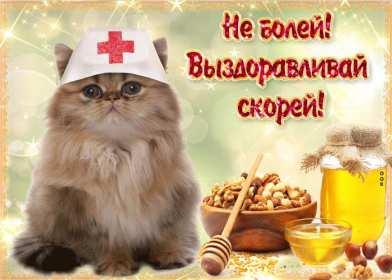 Открытки выздоравливай Открытка с пожеланиями скорейшего выздоровления, выздоравливай Открытка картинка открытки картинки выздоравливай, поправляйся, скорейшего выздоровления, открытка картинка пожелания скорейшего выздоровления, выздоравливай, не болей