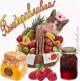 Открытки выздоравливай Открытка с пожеланиями скорейшего выздоровления, выздоравливай Открытка картинка открытки картинки выздоравливай, поправляйся, скорейшего выздоровления, открытка картинка пожелания скорейшего выздоровления, выздоравливай, не болей