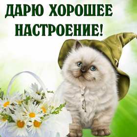 Открытки хорошего настроения Открытка с пожеланиями хорошего настроения, отличного настроения Открытка картинка открытки картинки хорошего настроения, прекрасного настроения, пожелания прекрасного настроения открытка, картинка хорошего настроения скачать бесплатно