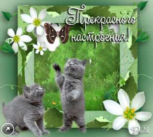 Открытки хорошего настроения Открытка с пожеланиями хорошего настроения, отличного настроения Открытка картинка открытки картинки хорошего настроения, прекрасного настроения, пожелания прекрасного настроения открытка, картинка хорошего настроения скачать бесплатно