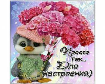 Открытки хорошего настроения Открытка с пожеланиями хорошего настроения, отличного настроения Открытка картинка открытки картинки хорошего настроения, прекрасного настроения, пожелания прекрасного настроения открытка, картинка хорошего настроения скачать бесплатно