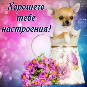 Открытки хорошего настроения Открытка с пожеланиями хорошего настроения, отличного настроения Открытка картинка открытки картинки хорошего настроения, прекрасного настроения, пожелания прекрасного настроения открытка, картинка хорошего настроения скачать бесплатно