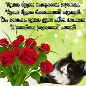 Открытки хорошего настроения Открытка с пожеланиями хорошего настроения, отличного настроения Открытка картинка открытки картинки хорошего настроения, прекрасного настроения, пожелания прекрасного настроения открытка, картинка хорошего настроения скачать бесплатно