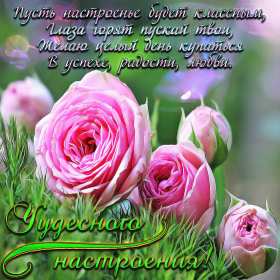 Открытки хорошего настроения Открытка с пожеланиями хорошего настроения, отличного настроения Открытка картинка открытки картинки хорошего настроения, прекрасного настроения, пожелания прекрасного настроения открытка, картинка хорошего настроения скачать бесплатно