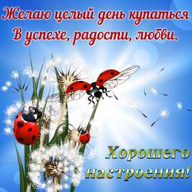 Открытки хорошего настроения Открытка с пожеланиями хорошего настроения, отличного настроения Открытка картинка открытки картинки хорошего настроения, прекрасного настроения, пожелания прекрасного настроения открытка, картинка хорошего настроения скачать бесплатно