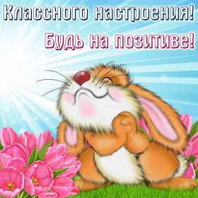 Открытки хорошего настроения Открытка с пожеланиями хорошего настроения, отличного настроения Открытка картинка открытки картинки хорошего настроения, прекрасного настроения, пожелания прекрасного настроения открытка, картинка хорошего настроения скачать бесплатно